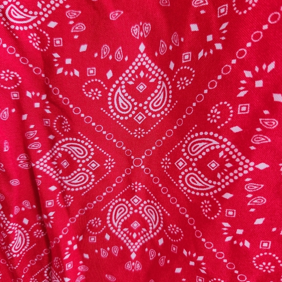 Red Halter spaghetti strap tank - Picture 2 of 7